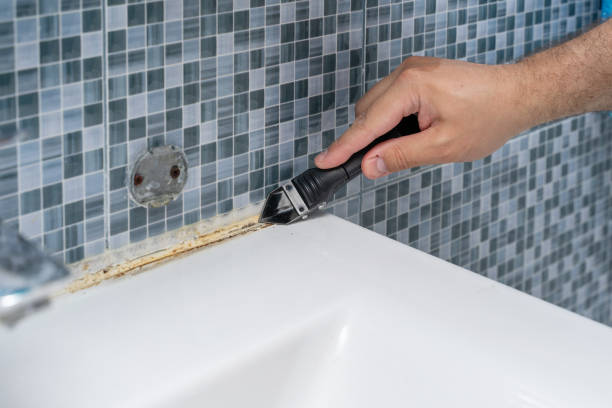 Burns, TN Mold Removal Company