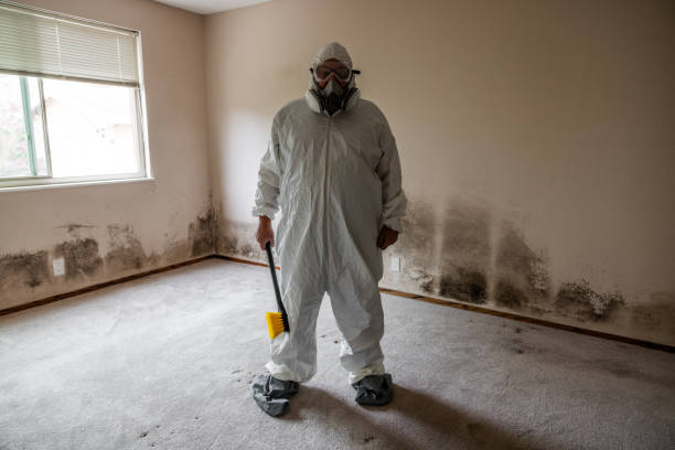 Best Mold Cleaning Services  in Burns, TN
