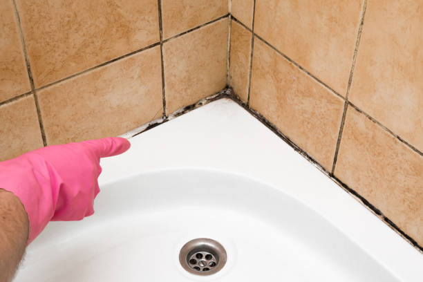 Best Emergency Mold Removal  in Burns, TN